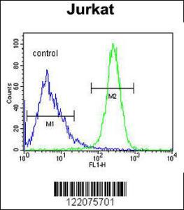 Anti-ANGEL1 Rabbit Polyclonal Antibody (FITC (Fluorescein))