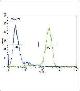 Anti-ATP7B Rabbit Polyclonal Antibody