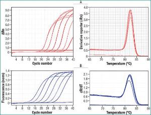 Maxima™ SYBR® Green qPCR Master Mix (2X), with ROX