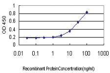 Anti-CD83 Mouse Monoclonal Antibody [clone: 3F3]