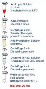 Genomic DNA purification kit, Fermentas