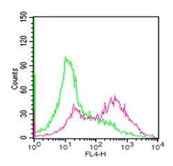 Anti-TNFSF11 Mouse Monoclonal Antibody (Alexa Fluor® 647)) [clone: 12A380]