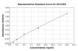 Representative standard curve for Human NPR-A ELISA kit (A312563)