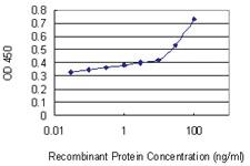 Anti-NFAM1 Mouse Monoclonal Antibody [clone: 2E9]