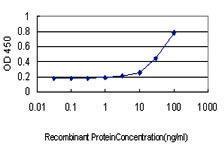 Anti-BANF1 Mouse monoclonal antibody unconjugated [clone: 3F10-4G12]