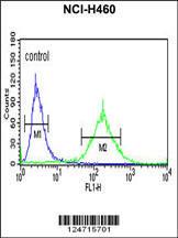 Anti-BBS10 Rabbit Polyclonal Antibody (Biotin)