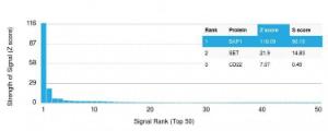 Analysis of protein array containing more than 19000 full-length human proteins using Anti-BAP1 Antibody [BAP1/2432].