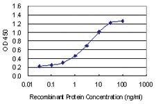 Anti-OTOS Mouse Monoclonal Antibody [clone: 6C6]