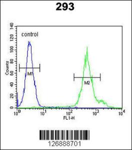 Anti-KLC3 Rabbit Polyclonal Antibody