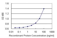 Anti-C1QB Polyclonal Antibody Pair