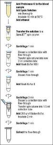 Whole Blood Genomic DNA Purification Mini kit, GeneJET™