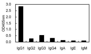 Cross-reactivity test