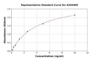 Representative standard curve for Mouse CD10 ELISA kit (A303409)