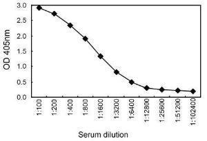 Sandwich ELISA for human serum using KT16 coated plate and HRP conjugated KT38