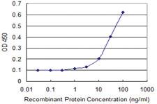 Anti-HOPX Mouse Monoclonal Antibody [clone: 3D6]