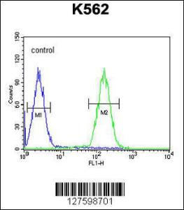 Anti-LCE2B Rabbit Polyclonal Antibody (AP (Alkaline Phosphatase))