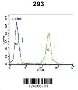 Anti-GL8D2 Rabbit Polyclonal Antibody