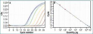 Maxima™ First Strand cDNA Synthesis kit