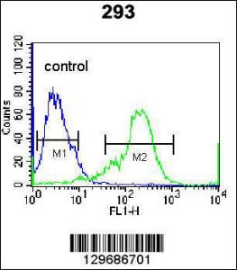 Anti-NKX1-2 Rabbit Polyclonal Antibody