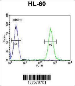 Anti-BTNL3 Rabbit Polyclonal Antibody (APC (Allophycocyanin))