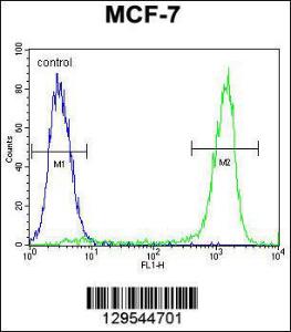 Anti-ZNF829 Rabbit Polyclonal Antibody (FITC (Fluorescein Isothiocyanate))