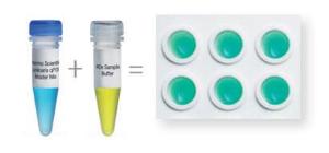 Luminaris color HiGreen qPCR master mix