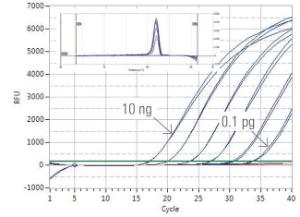 Luminaris color HiGreen qPCR master mix