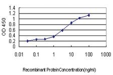 Anti-ID1 Mouse Monoclonal Antibody [clone: 4G11]