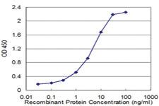 Anti-ID1 Mouse Monoclonal Antibody [clone: 3A9]