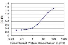 Anti-ID1 Mouse Monoclonal Antibody [clone: 2C7]