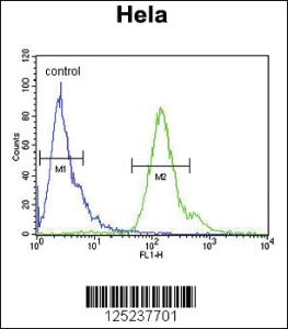 Anti-MMGT1 Rabbit Polyclonal Antibody