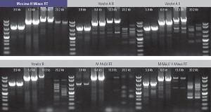 FERMEP0753 - MAXIMA H MINUS 4X10000 UNITS