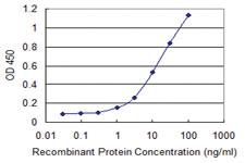 Anti-RAB3C Mouse Monoclonal Antibody [clone: 1H4]