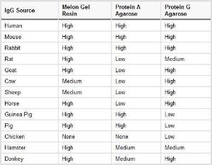 Affinity purification kits, Melon™ Gel spin plate kit for IgG screening