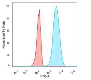 Flow cytometric analysis of PFA-fixed U87 cells using Anti-IGFBP3 Antibody [IGFBP3/3424] followed by Goat Anti-Mouse IgG (CF&#174; 488) (Blue). Isotype Control (Red)