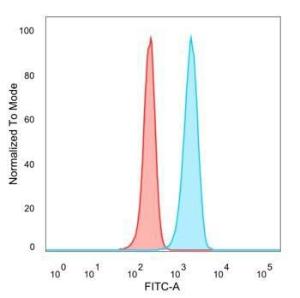 Flow cytometric analysis of PFA fixed HeLa cells using Anti-IRF3 Antibody [PCRP-IRF3-1E6] followed by Goat Anti-Mouse IgG (CF&#174; 488) (Blue). Isotype Control (Red).