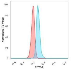 Flow cytometric analysis of PFA fixed HeLa cells using Anti-GTF2IRD2 Antibody [PCRP-GTF2IRD2-1B4] followed by Goat Anti-Mouse IgG (CF&#174; 488) (Blue). Unstained cells (red)