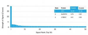 Analysis of protein array containing more than 19,000 full-length human proteins using Anti-IRF3 Antibody [PCRP-IRF3-1E6