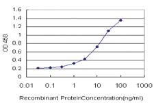 Anti-ID2H Mouse Monoclonal Antibody [clone: 3C3]