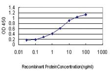 Anti-GDF7 Mouse Monoclonal Antibody [clone: 3C2]