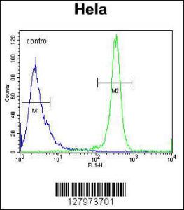 Anti-DEN5A Rabbit Polyclonal Antibody (HRP (Horseradish Peroxidase))