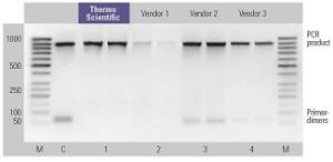 FERMK0832 - KIT GENEJET DNA CLEANUP 250 PREP.