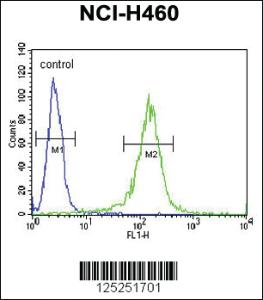 Anti-RDH10 Rabbit Polyclonal Antibody