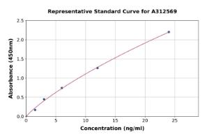 Representative standard curve for Human CDNF ELISA kit (A312569)