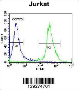 Anti-ZNF841 Rabbit Polyclonal Antibody (APC (Allophycocyanin))