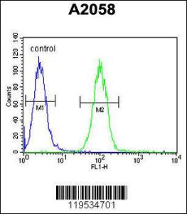 Anti-ANXA1 Rabbit Polyclonal Antibody