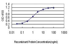 Anti-ID3 Mouse Monoclonal Antibody [clone: 4G1]