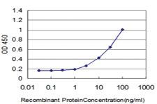 Anti-ID3 Mouse Monoclonal Antibody [clone: 3E10]