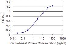 Anti-CTHRC1 Mouse Monoclonal Antibody [clone: 1G12]