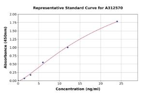 Representative standard curve for Human Carbonic Anhydrase 2/CA2 ELISA kit (A312570)